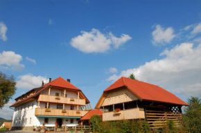  Guesthouse Novak  Двор